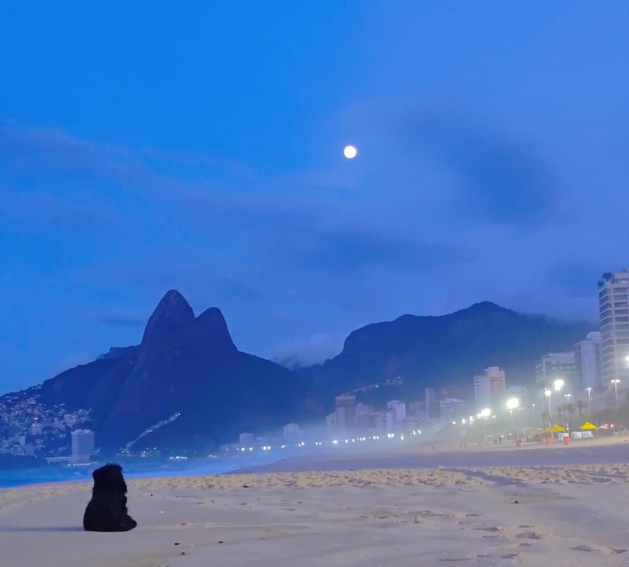 Linda Cobertura Ipanema Quadra Da Praia C Sauna E 2 Suites 里约热内卢 外观 照片